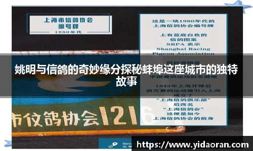 jn江南·体育登录入口