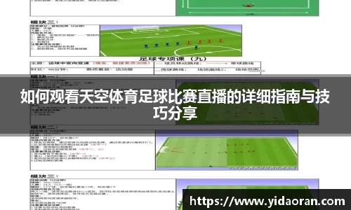 如何观看天空体育足球比赛直播的详细指南与技巧分享